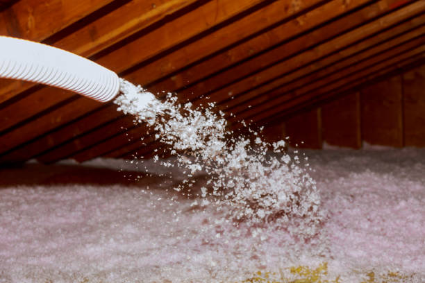 Best Best Insulation Companies  in Firestone, CO