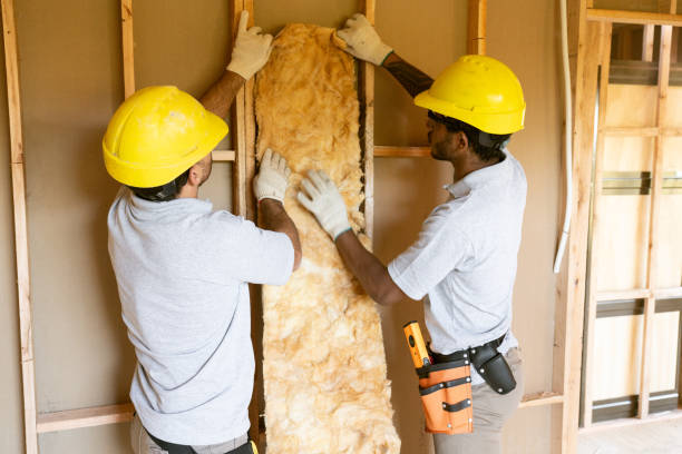 Best Insulation Replacement Services  in Firestone, CO