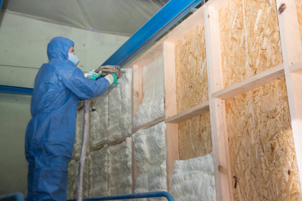 Best Insulation Repair Services  in Firestone, CO